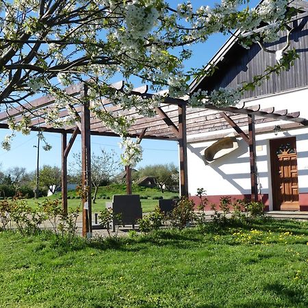 Bed and Breakfast Tisza White House Tiszaszolos Exterior foto