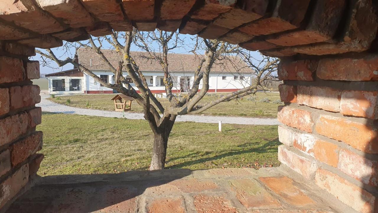 Bed and Breakfast Tisza White House Tiszaszolos Exterior foto